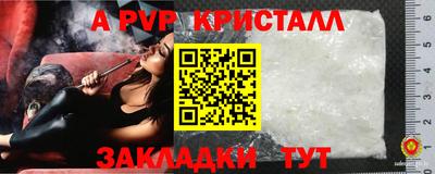 ECSTASY Канаш